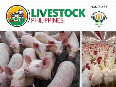 registered poultry farms in the philippines 2023|PHILIPPINE POULTRY .